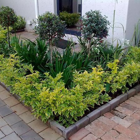 Rosebank Lodge Guesthouse By Claires Johannesburg Eksteriør billede