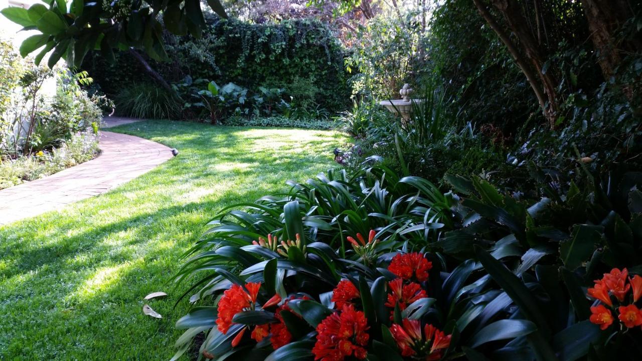 Rosebank Lodge Guesthouse By Claires Johannesburg Eksteriør billede