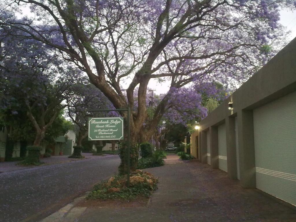 Rosebank Lodge Guesthouse By Claires Johannesburg Værelse billede