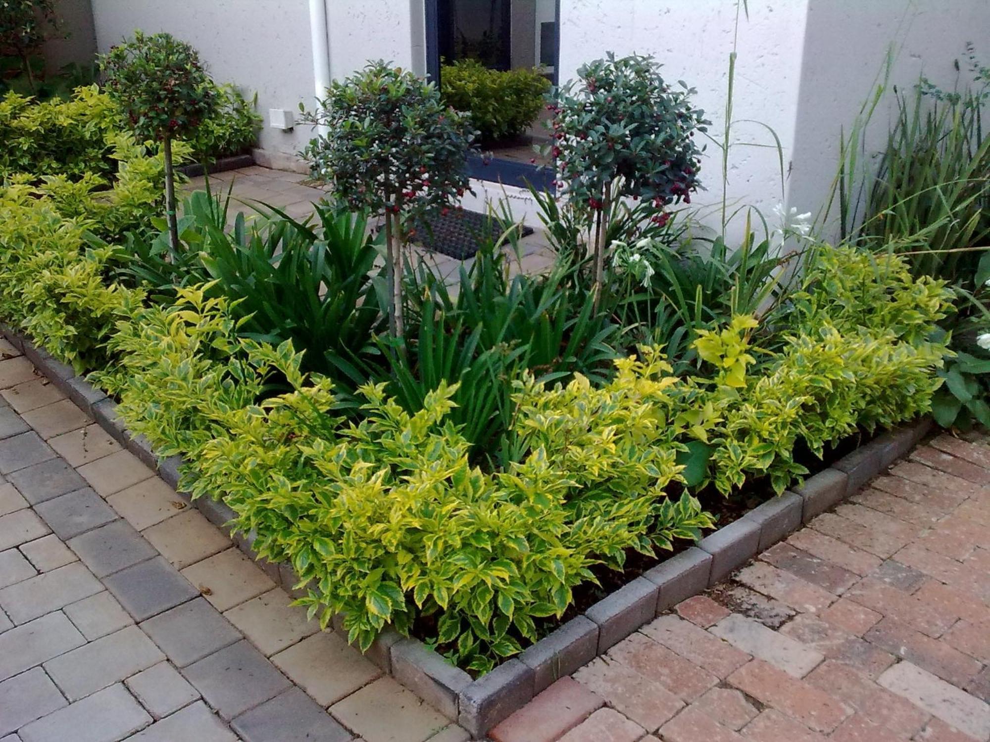 Rosebank Lodge Guesthouse By Claires Johannesburg Eksteriør billede
