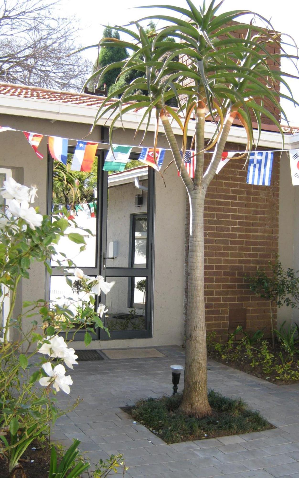 Rosebank Lodge Guesthouse By Claires Johannesburg Eksteriør billede