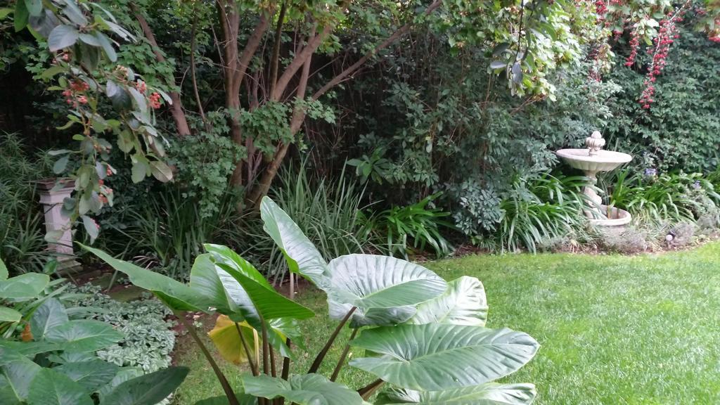 Rosebank Lodge Guesthouse By Claires Johannesburg Eksteriør billede