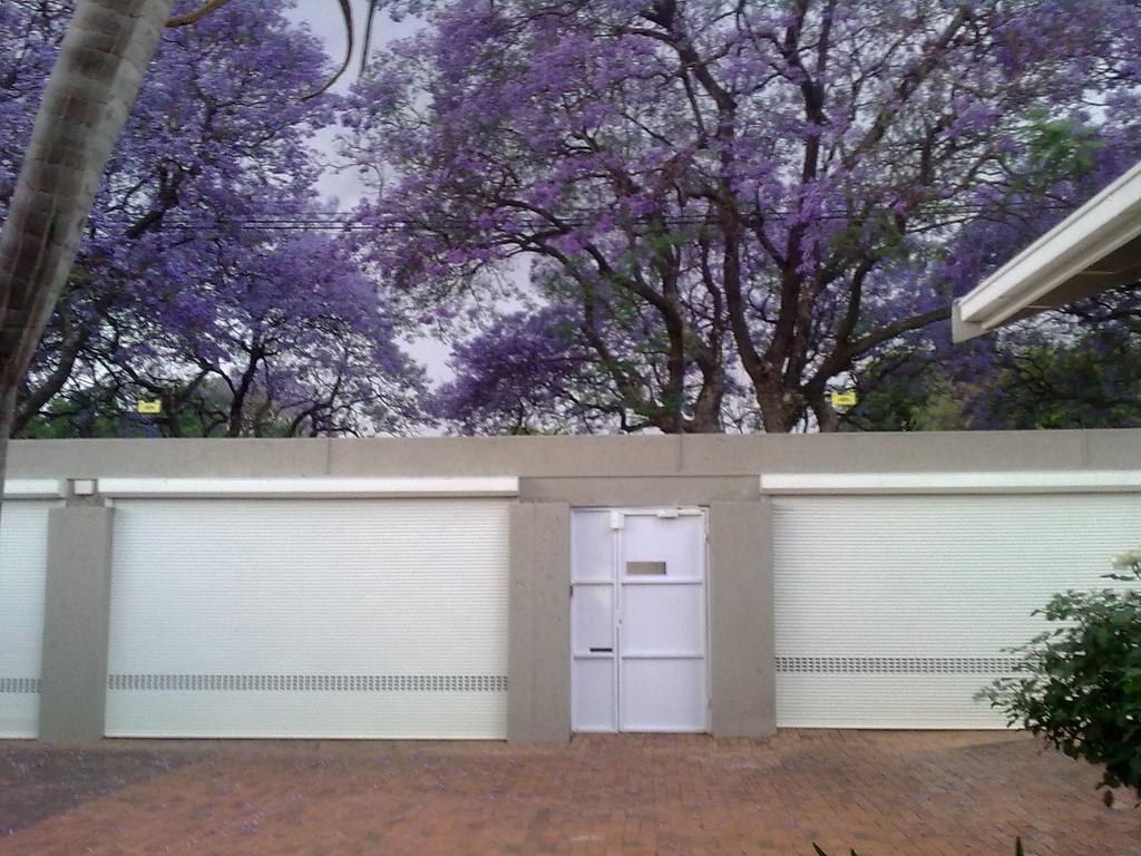 Rosebank Lodge Guesthouse By Claires Johannesburg Eksteriør billede