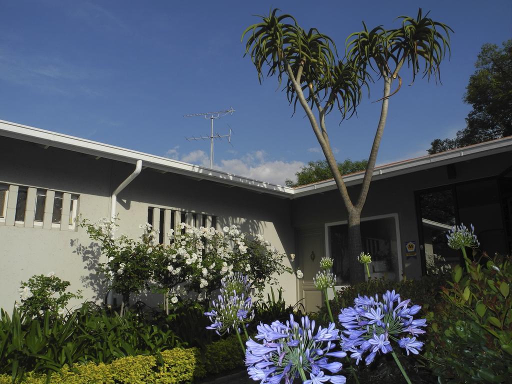Rosebank Lodge Guesthouse By Claires Johannesburg Eksteriør billede