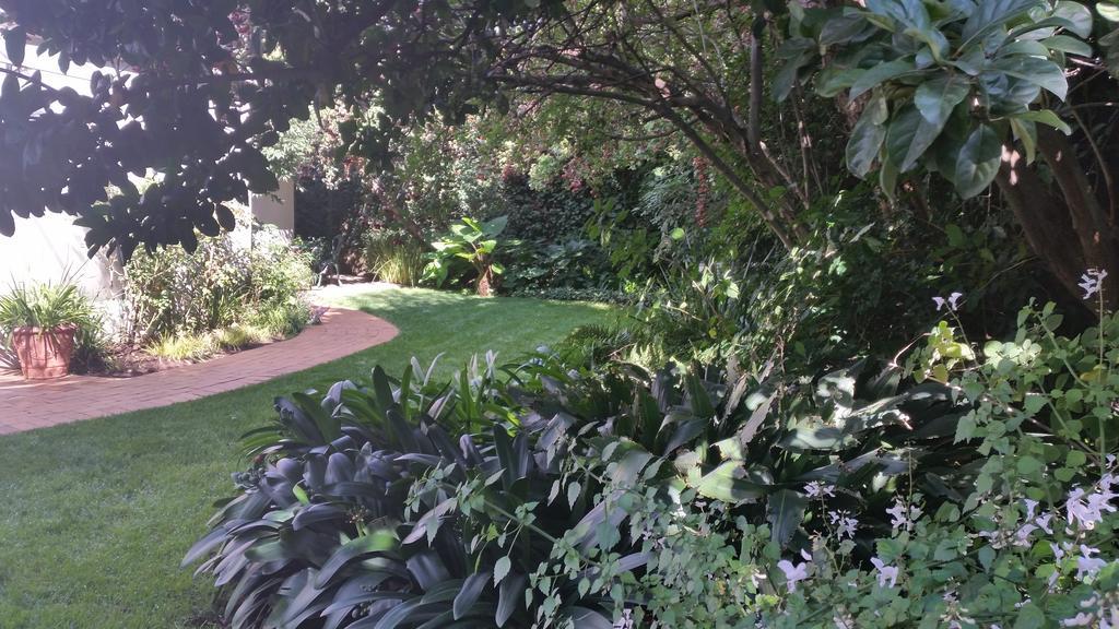 Rosebank Lodge Guesthouse By Claires Johannesburg Eksteriør billede