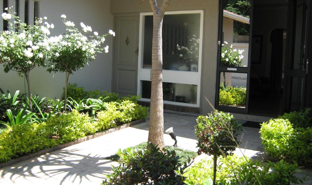 Rosebank Lodge Guesthouse By Claires Johannesburg Eksteriør billede
