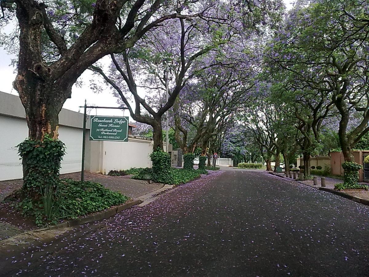 Rosebank Lodge Guesthouse By Claires Johannesburg Eksteriør billede